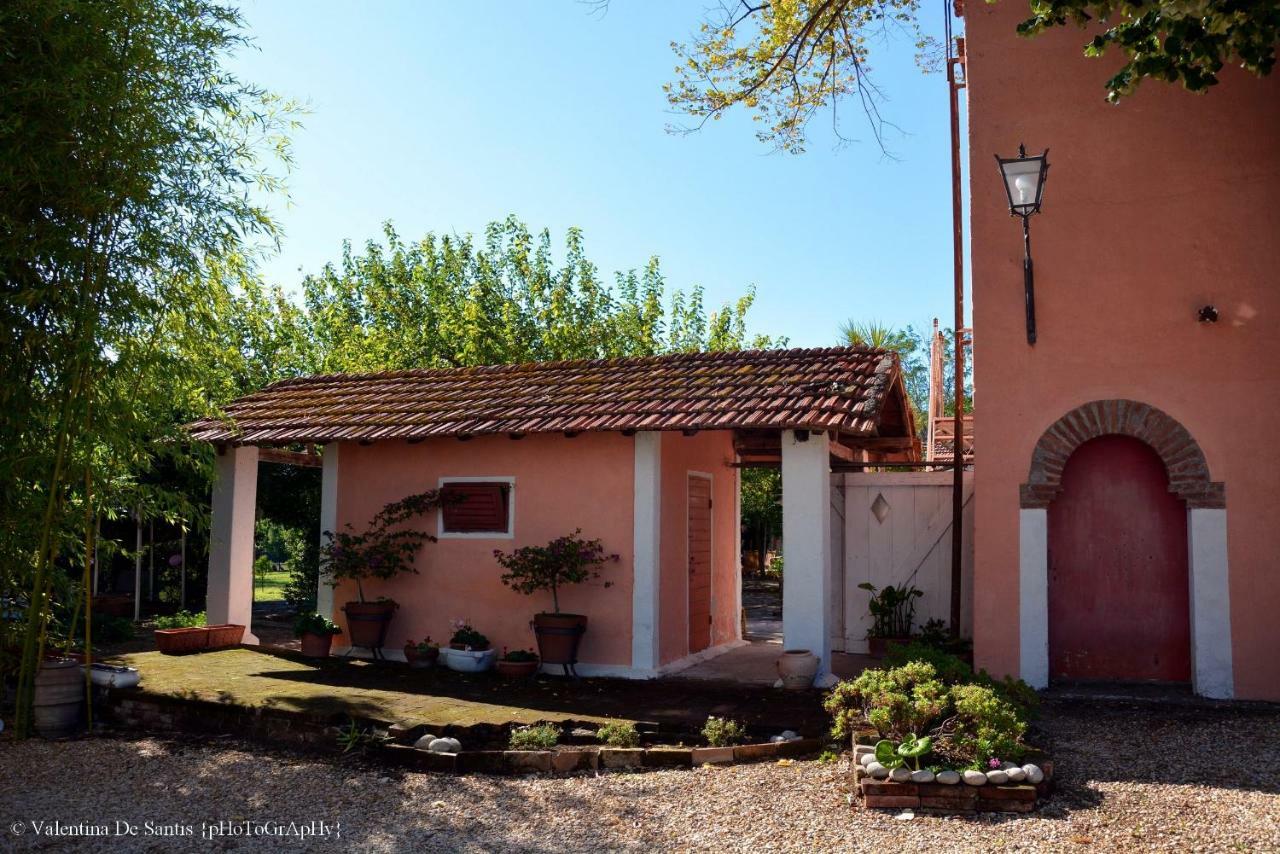 Casale Del Gelso Genzano di Roma Exterior foto